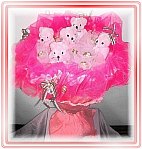 看鮮花大圖片~