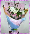 看鮮花大圖片~