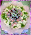看鮮花大圖片~