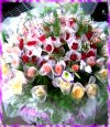 看鮮花大圖片~